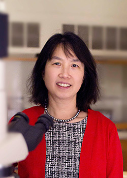 Leslie Shen headshot Leslie Shen headshot